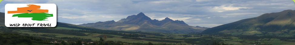 Andes, Ecuador on a bird watching tour with Wild About Travel