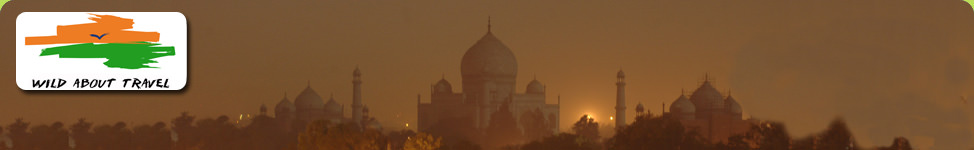 Taj Mahal by moonlight on culture tour of India