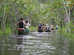 Holiday to the Amazon rainforst