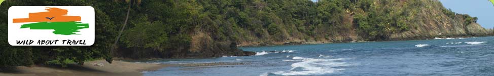 Visit Batteaux Bay on a holiday to Trinidad and Tobago with Wild About Travel