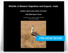 Wildlife of Western Rajasthan and Gujarat - India